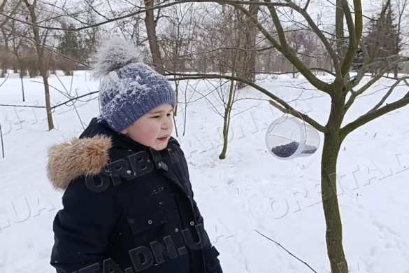Добрі справи у морози: як годівнички допомагають птахам пережити зиму