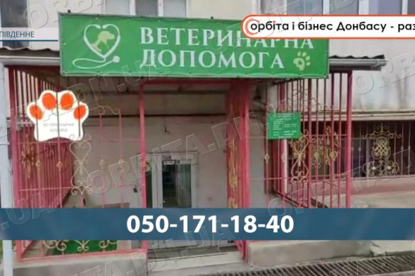 Від фронту - до нових пацієнтів: ветеринар з Добропілля відкрив клініку у Південному