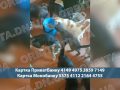 50 котів із Добропілля: історія зооволонтерки, яка рятує покинутих тварин