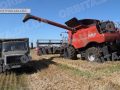 Жнива, селекція і наука: як працює релокована Донецька дослідна агростанція