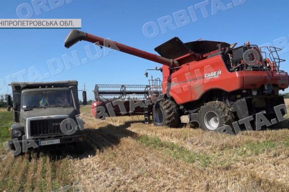 Жнива, селекція і наука: як працює релокована Донецька дослідна агростанція