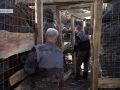 Працівники КП «Господар» продовжують будувати фортифікації на Донеччині